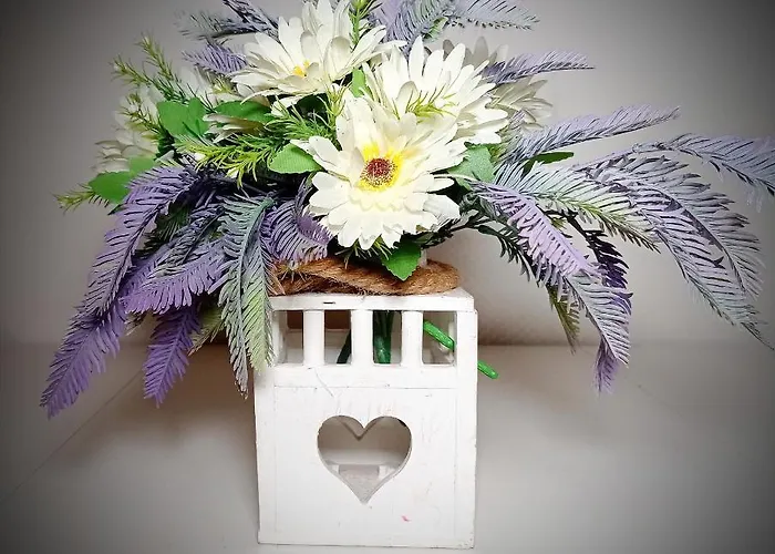 Bed and breakfast Domus Pio Xi Roma