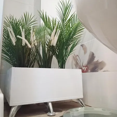 Bed & Breakfast Domus Pio Xi 3*